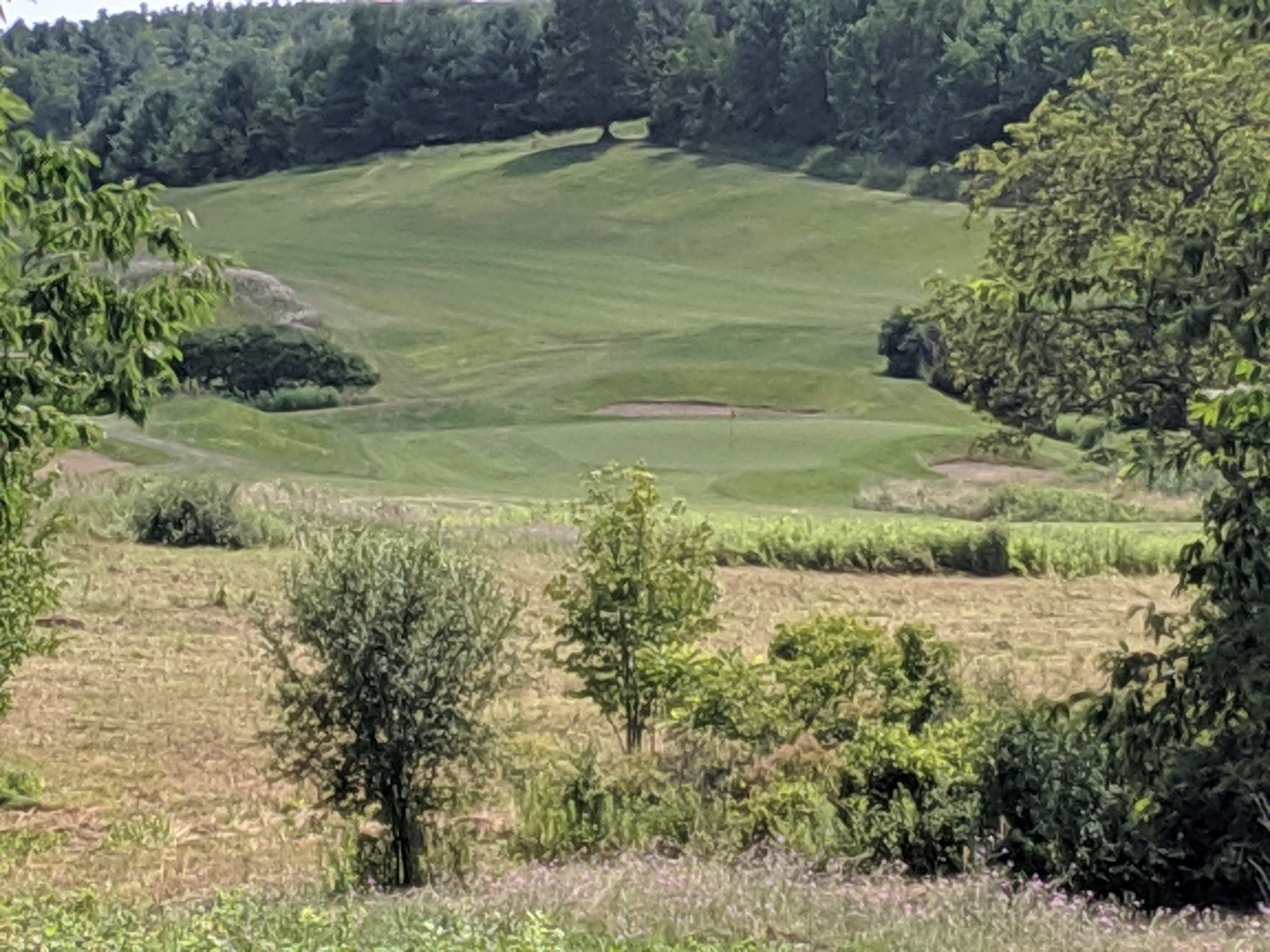 Lot Picture 1 Lot Picture 1